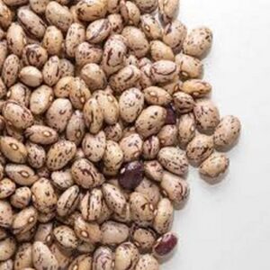 Nova Funghi - FAGIOLI LAMON BORLOTTI NATURALe 314g