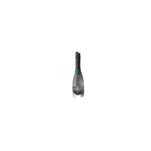 CIELO - MILLESIMATO Prosecco DOC Brut Spumante Pop Cork 0,115